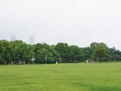 -橘洲1910花园江景西餐厅