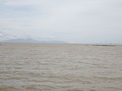 -野狸岛