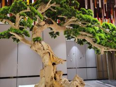 -青水瓦台汤泉(未央店)