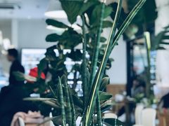 -Blueglass酸奶(财富购物中心店)