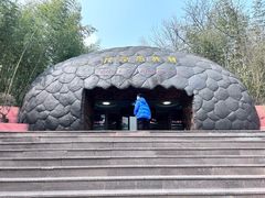 -中国西峡恐龙遗迹园