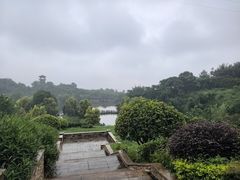 -张坝桂圆林公园