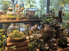 -自由生长植物工作室(深港花卉中心店)