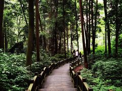 -凤栖山