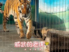 -保定市动物园