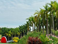 -深圳国际园林花卉博览园