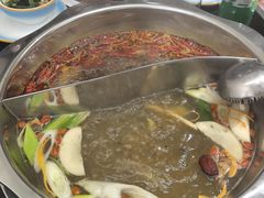 -金鼎雪山牦牛杂火锅(理县总店)