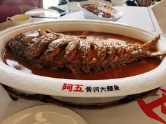 -阿五黄河大鲤鱼(海尚店)