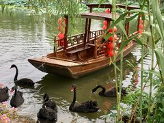 -长兴太湖图影湿地文化园