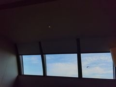 -上海滴水湖皇冠假日酒店