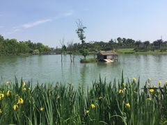-瑶湖郊野森林公园