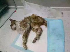 盛京一禾-盛京一禾