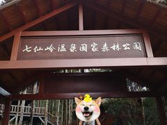 -七仙岭温泉国家森林公园