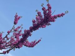 -石家庄市植物园