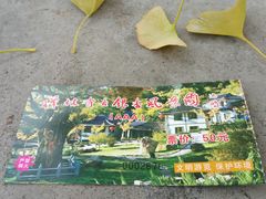 景点-遵化市禅林寺古银杏风景园