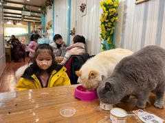 -猫小院猫主题咖啡厅(北锣店)