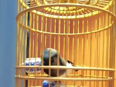 -了凡国风主题茶馆·咖啡(武侯祠锦里店)