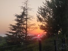 -沣峪口