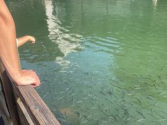 -乌镇枕水度假酒店
