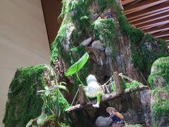 -崂山印象·青岛·海鲜渔家菜