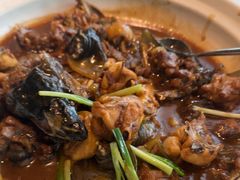 -望乡楼上海菜(日月光店)