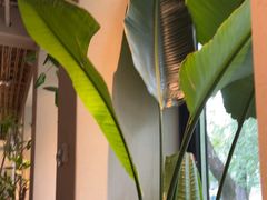 -BOCATA 西班牙餐厅(三里屯店)