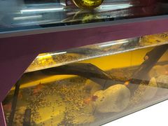 -ventus spa 沙巴亚庇正宗精油按摩会所