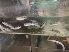 -观桥阁(锦溪店)