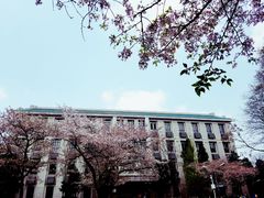-武汉大学-樱园