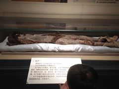-巴音郭楞蒙古自治州博物馆