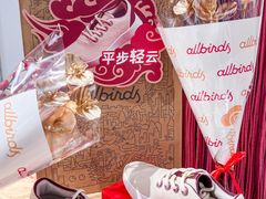 -allbirds(三里屯太古里南区店)