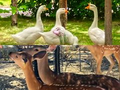 -杜氏旅游度假区