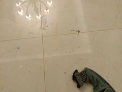 -美猴帮帮家政 保洁清洗长沙