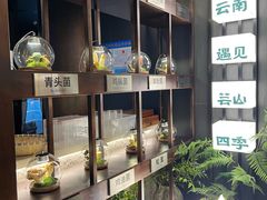 -芸山季·云南山珍菌火锅(人民广场来福士店)