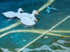 -华谊兄弟（长沙）电影小镇