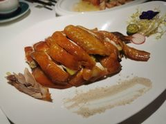 -菉雅苑·湛江菜(前海卓越INTOWN店)