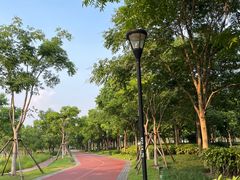 -上海山野camping·户外天幕烧烤·团建拓展营地
