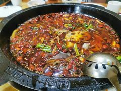 -烧哥美蛙肥肠鱼火锅·十五年社区店