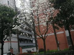 -湖南师范大学-木兰路食堂