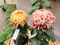 -共青国家森林公园-售票处