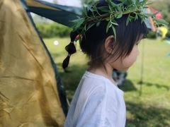 -漕湖湿地公园