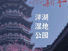 -洋湖国家湿地公园