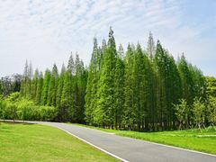 -宜兴龙背山森林公园