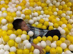 -宝燕乐园(闵行旗舰店)