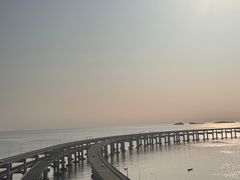-星海湾跨海大桥
