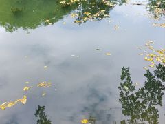 -善卷洞风景区
