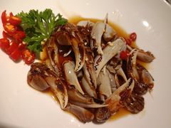 -船歌·鱼水饺青岛菜(金狮广场店)