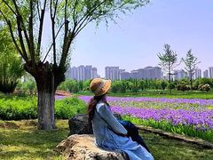 -汉长安城未央宫国家考古遗址公园