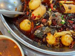 -黑竹香鸡(营和巷店)