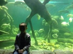 -多彩贵州城极地海洋世界